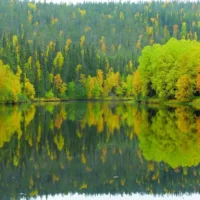 EU launches public feedback on Nature Restoration Plans