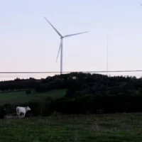 EU on track for 2030 climate target, Commission says