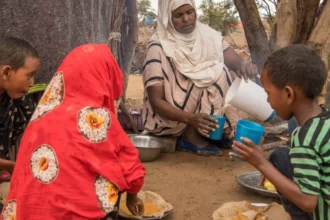 EU pledges €40 million for humanitarian aid in Ethiopia