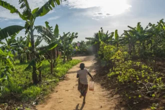 EU reveals 1.9 billion euro humanitarian budget for 2025