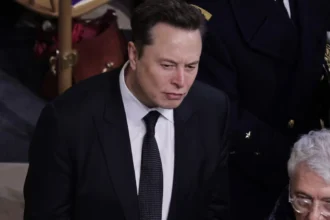 EU says its laws don't forbid Musk's German far-right chat on X