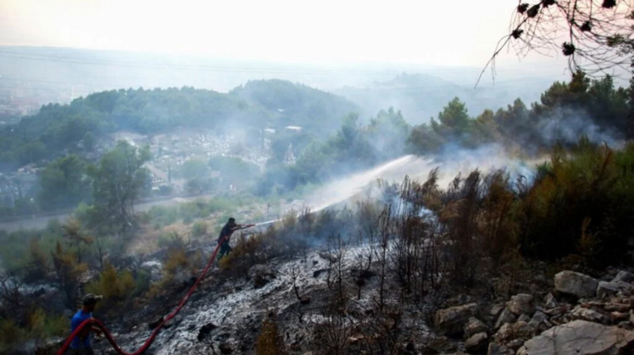 EU starts to mobilise support to tackle forest fire emergencies