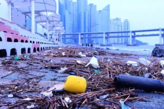 EU takes part in crucial Global Plastics Treaty negotiations