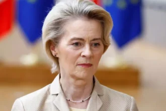 EU to urge India to cut tariffs on cars and wine