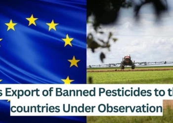 EU's Export of Banned Pesticide Under Observation