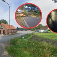 Eastern Limburg storm: Roads flooded & trees down