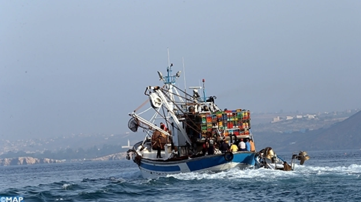 Economic Importance for EU Fleets
