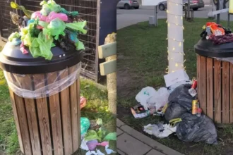 Edegem faces overflowing bins after collector injury