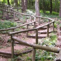 Enhancing green development and preserving the forests in Sicily