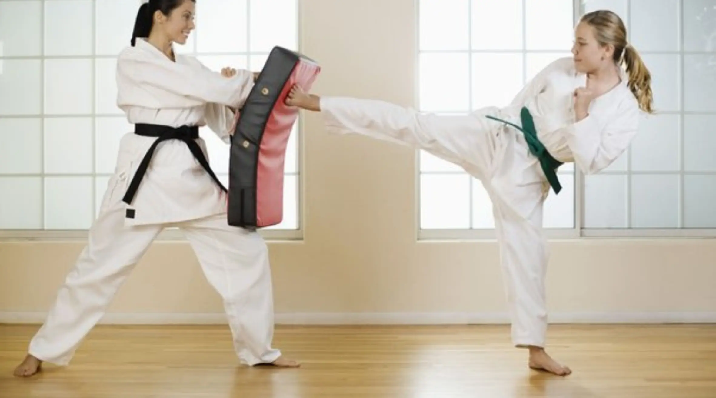 Enhancing the development of martial arts serves as a lever for growth for the European regions