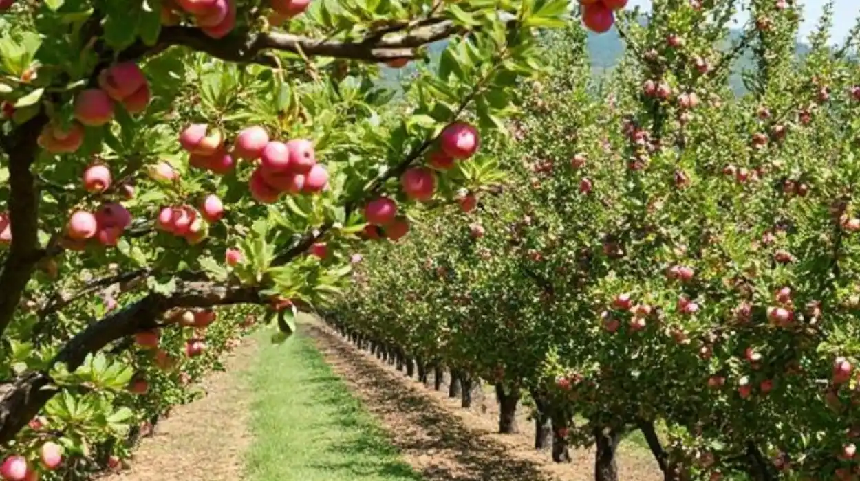 Environmental and Landscape Benefits