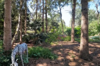 Essen's  De Bosrust closes after 30 years, owner seeks buyer