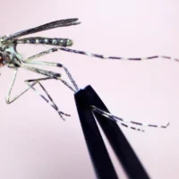 European Commission boosts nurse retention with €1.3M