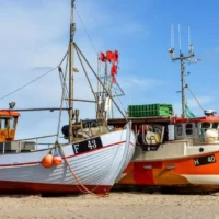 European Commission moves to address Baltic sea fisheries crisis