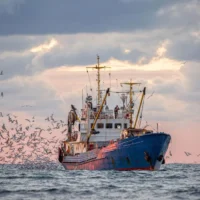 European Commission seeks candidates for fisheries and aquaculture transition group