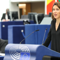European Parliament Leader Valérie Hayer's Pledge for Ukraine's Security