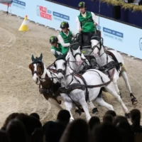 Event planners upset over Nekkerhal Mechelen closure