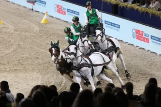 Event planners upset over Nekkerhal Mechelen closure