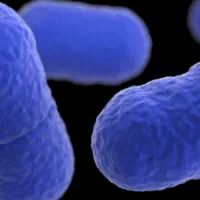 Experts voice concern over rising cases of Listeria