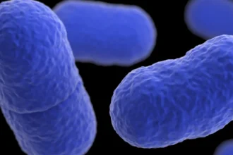 Experts voice concern over rising cases of Listeria