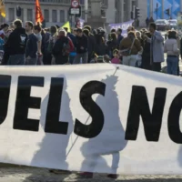 Extinction Rebellion Activists Disrupt Brussels Street, Demand End to Fossil Fuel Subsidies