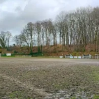 FC Dworp plans €600K artificial grass for the football field