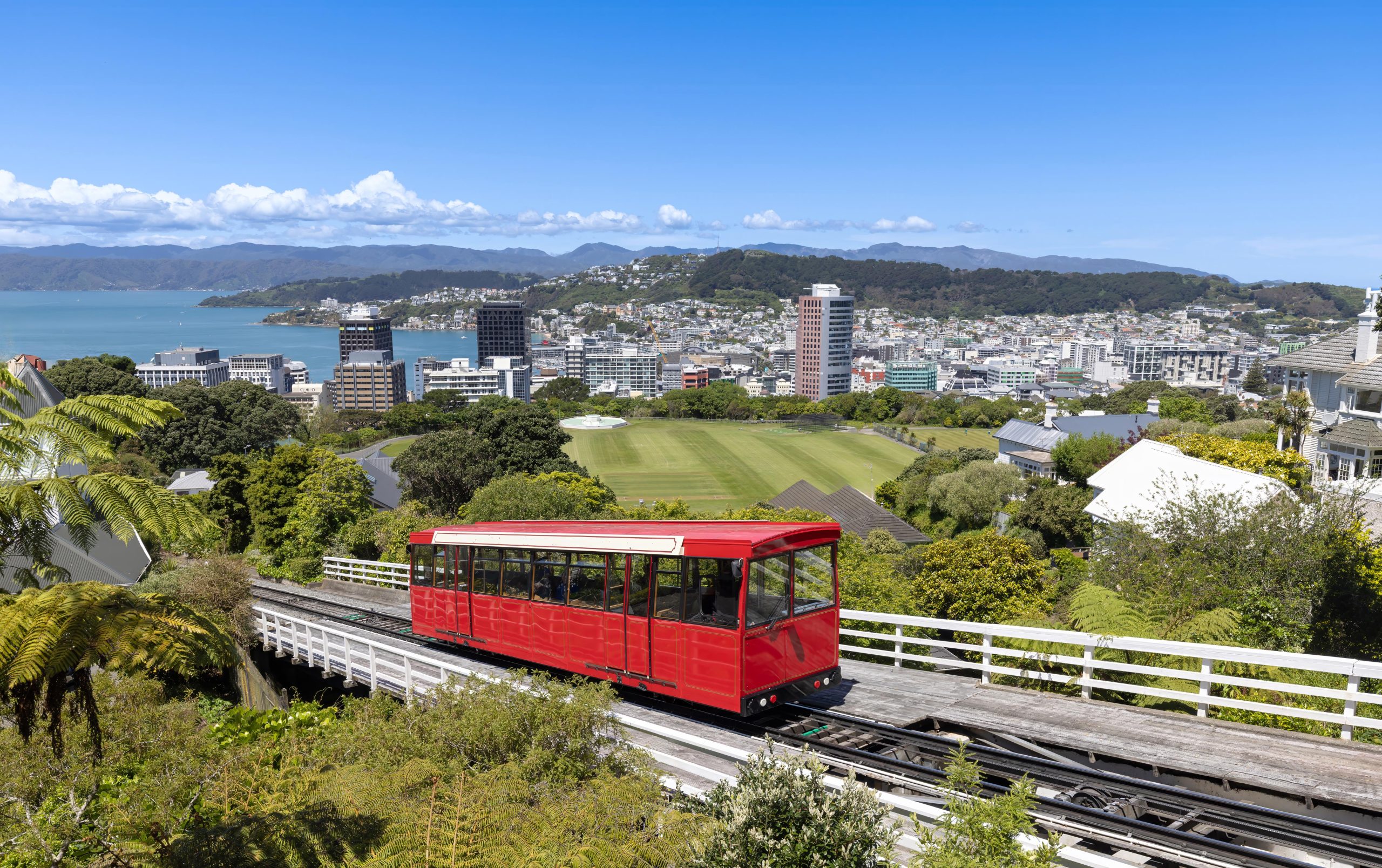 Wellington financial markets reacting to central bank decision outlook in 2026