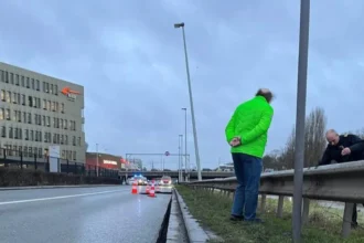 Fatal crane accident at Brussels port under investigation