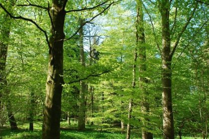 Biodiversity protection support remains strong among European citizens according to new survey