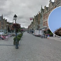 First storks arrive at Planckendael Zoo signalling spring