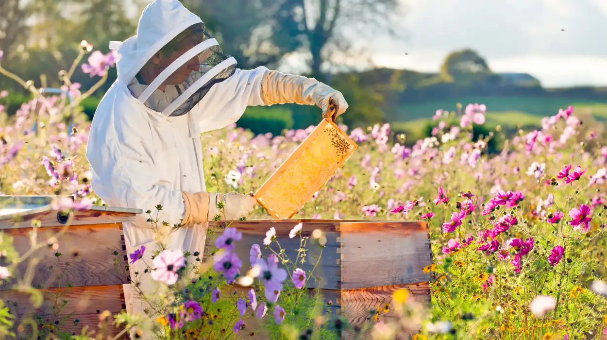 Flanders: Apix Biosciences raises €22M for new bee food