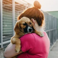 Flemish Brabant shelters drop to 23 amid urgent need for more