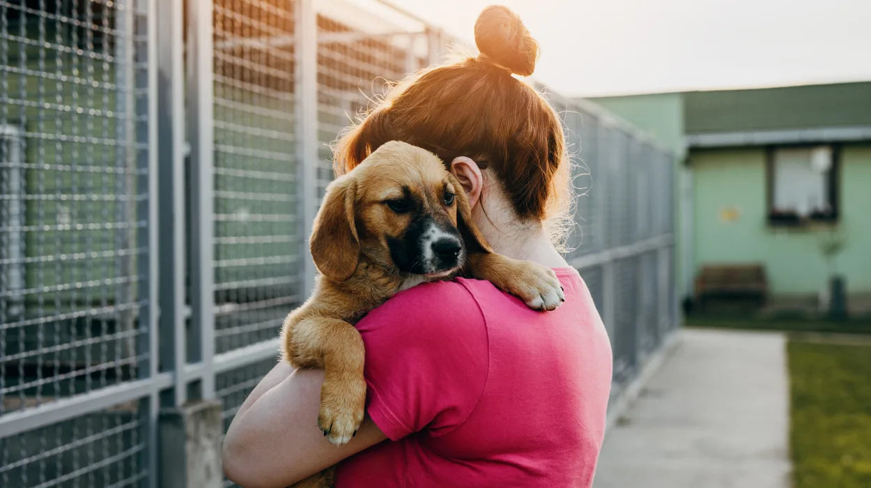 Flemish Brabant shelters drop to 23 amid urgent need for more