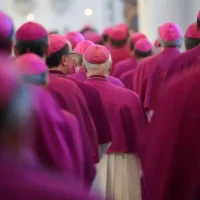 Flemish bishops stop Tony Schollaert's music amid abuse claims