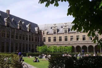 Flemish government ends €2.6M funding for Antwerp IOB staff