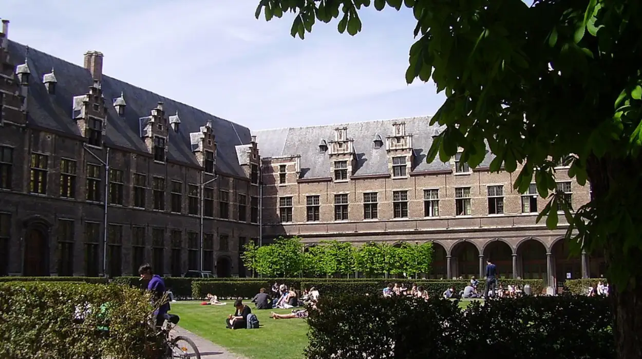 Flemish government ends €2.6M funding for Antwerp IOB staff