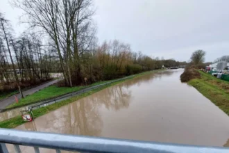 Flood alerts issued for rivers in Wallonia and Flanders