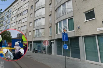 Foundation stone laid for Deurne-Noord campus with schools