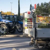 France enforces import ban on banned EU pesticides