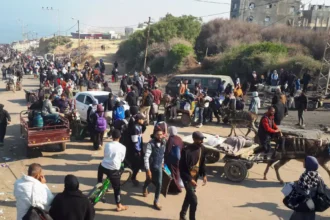 France rejects Trump’s proposal for Gaza's control