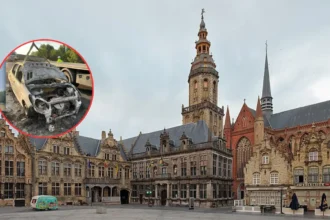 French driver flees after E40 car fire near Veurne