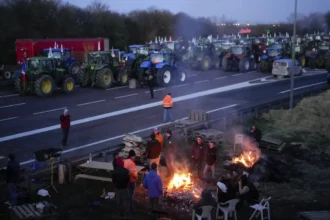 French farmers to protest against EU-Mercosur deal