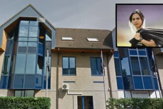 From Patro to club Brugge Habibzadeh's historic move