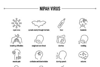 Pakistan Nipah virus airport health screening measures