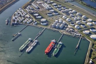G7 oil release from emergency petroleum reserves