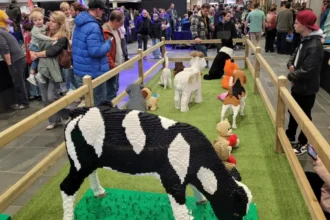 Geel Lego Fair