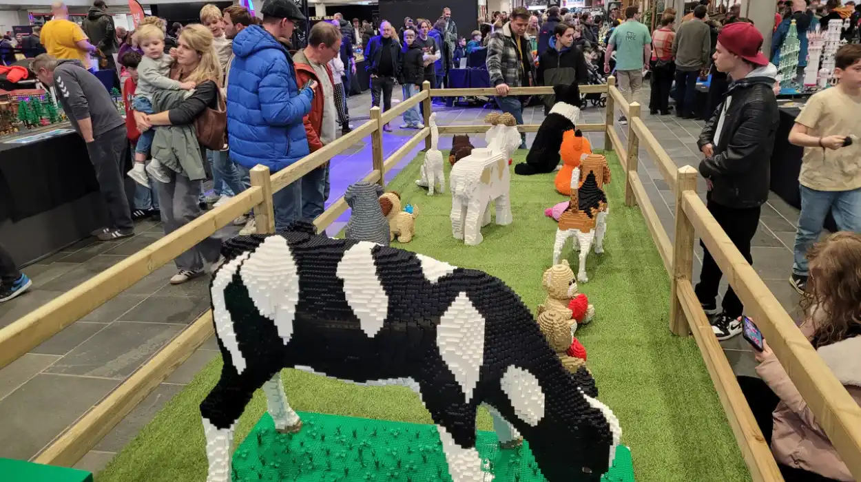 Geel Lego Fair