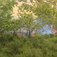 Gelrode fire burns football field area, campfire suspected