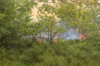 Gelrode fire burns football field area, campfire suspected