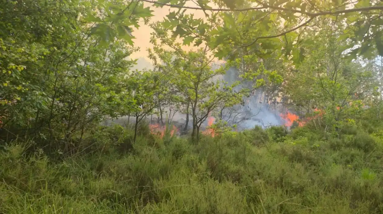 Gelrode fire burns football field area, campfire suspected